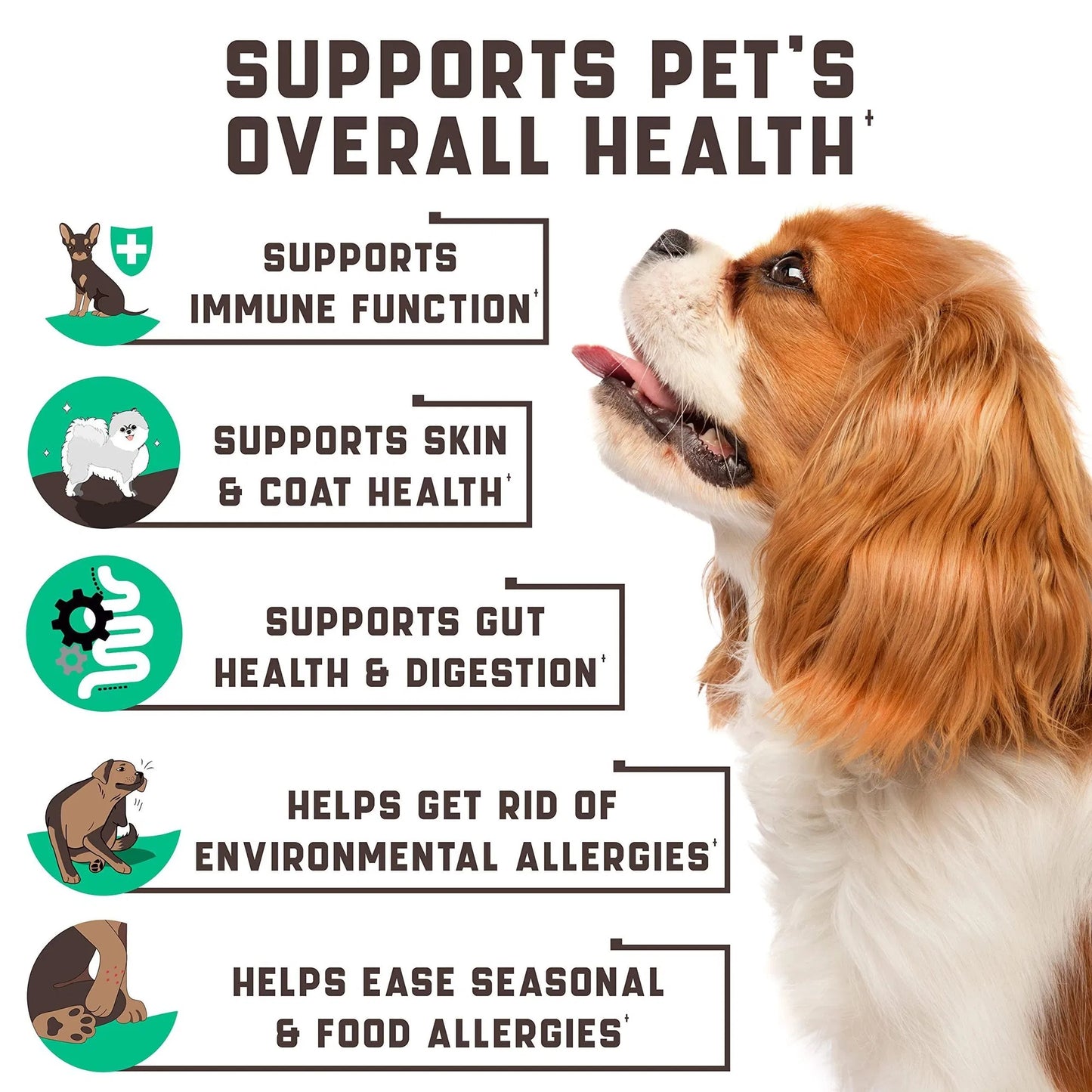 Natural Dog Allergy Chews With Omega Probiotics Apple Cider Vinegar Dog Allergy Relief Supplement Helps With Hot Spots Itchy Skin Seasonal And Food Dog Allergies 180 Allergy Chews For Dogs